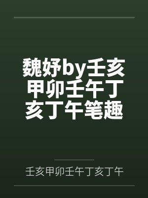 淫肉合欢录（重置）封面