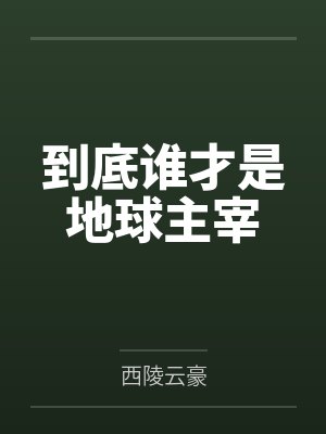 天龙后传之雁门风云封面