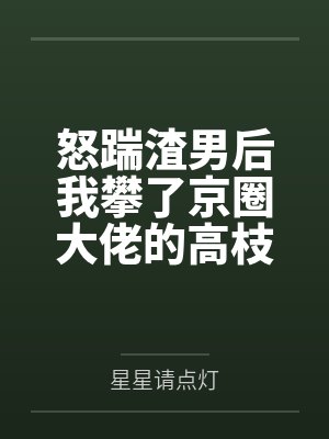 我的处男给了她的处女封面