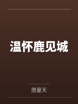 双凤劫封面