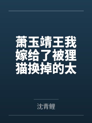 雪落时离婚封面