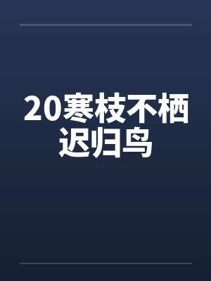 妈妈为了考试的后续主要内容封面