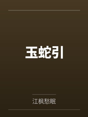 办公室的风云小说封面