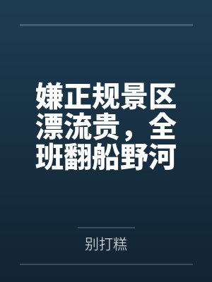 姐夫的荣耀官场险途卷封面